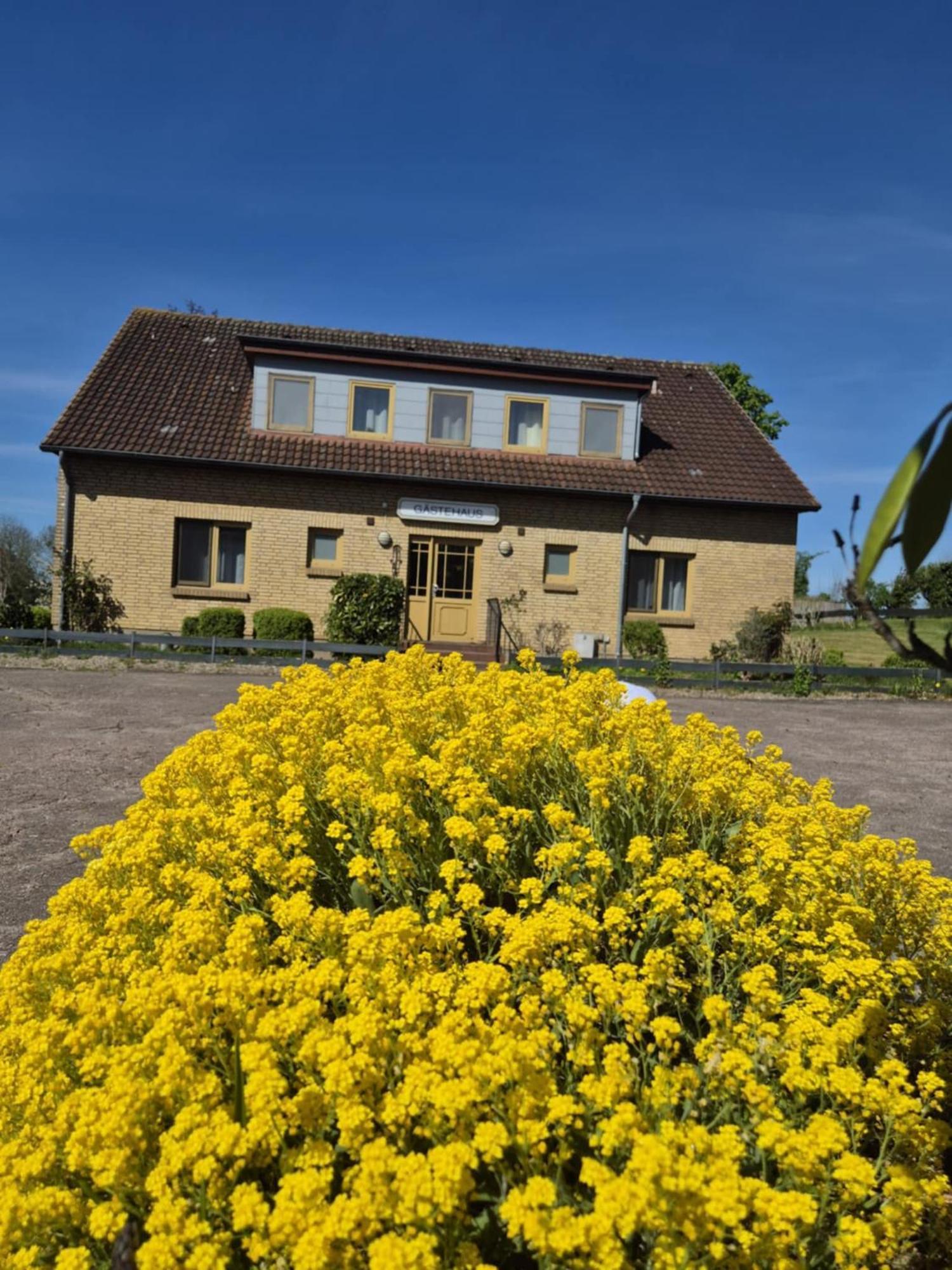 Hotel Panorama Wees Exterior foto